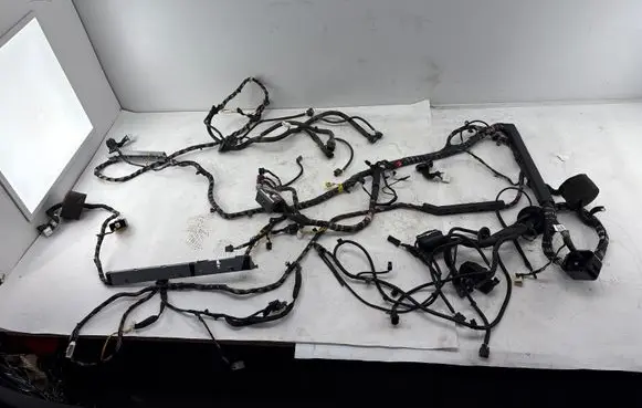 Chevrolet Captiva Other wiring loom 95499008 96673478