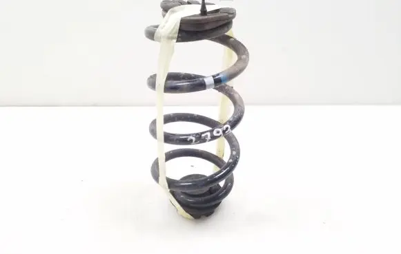 Nissan Qashqai Rear coil spring
