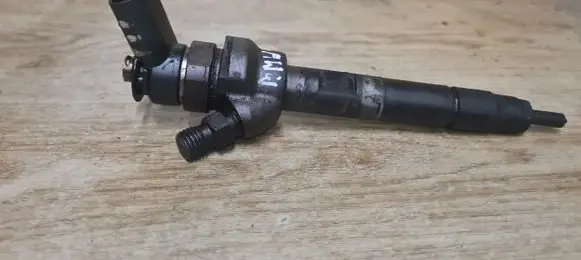 BMW 1 E81 E87 Fuel injector 7798446