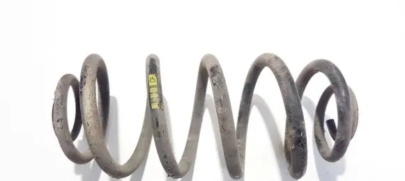 Opel Insignia A Rear coil spring