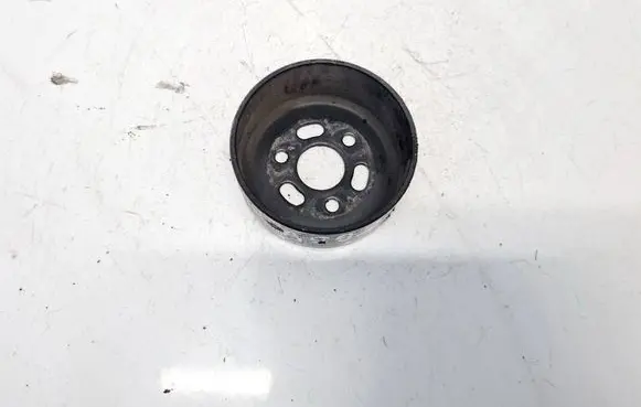 Renault Megane III Water pump pulley 