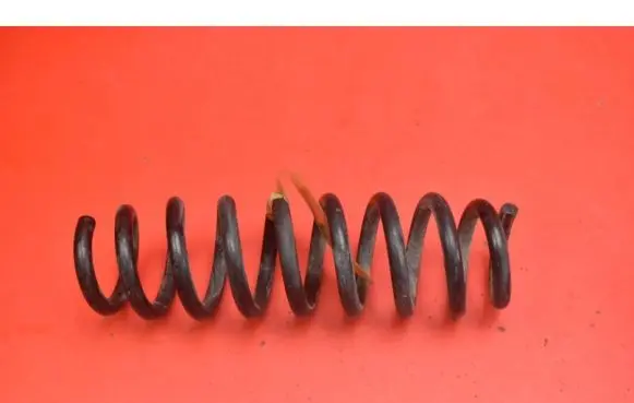 BMW X3 E83 Rear coil spring