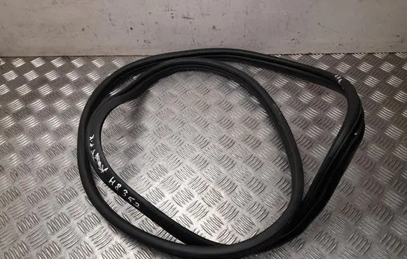 Hyundai IONIQ 6 Front door rubber seal 