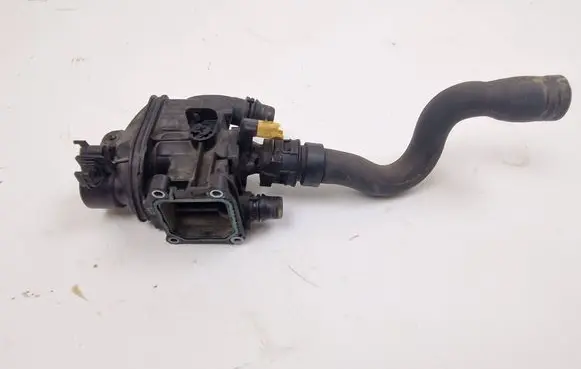 Citroen DS3 Thermostat/thermostat housing 9807198480 958199R