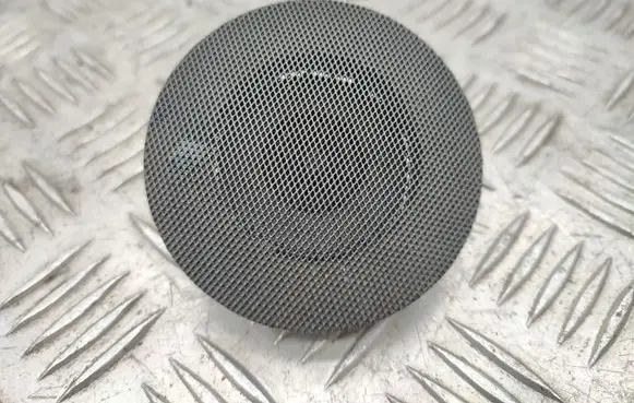 Panel speaker