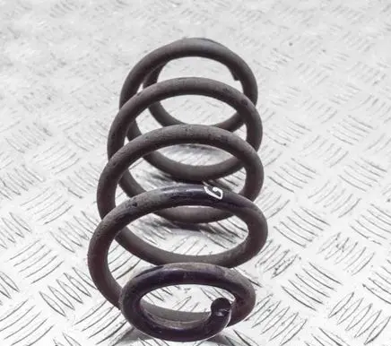 Renault Zoe Rear coil spring