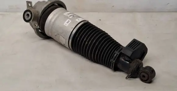 Volkswagen Touareg I Rear shock absorber/damper 7L6616019D