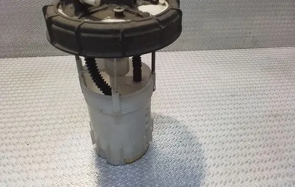 Nissan Interstar In-tank fuel pump 09701687000