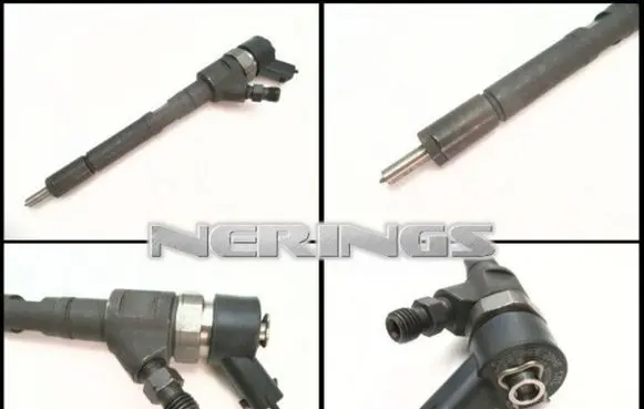 Citroen C3 Fuel injector 0445110259