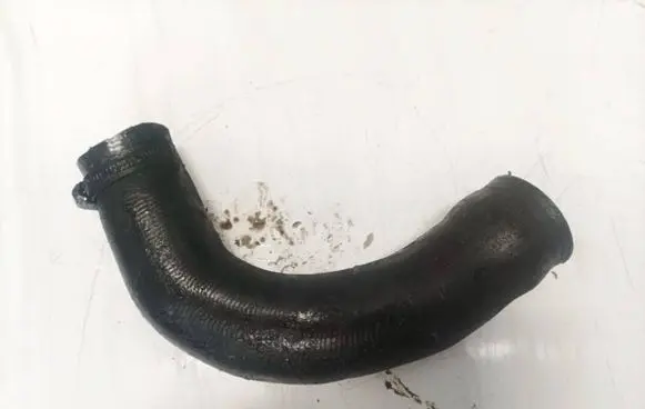 Renault Scenic I Intercooler hose/pipe