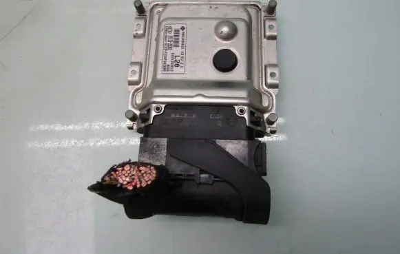 KIA Rio Engine control unit/module ECU 391332B302 9001090815