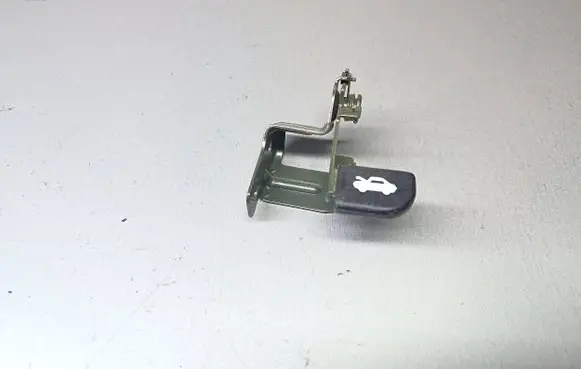 Hyundai Santa Fe Engine bonnet (hood) release handle