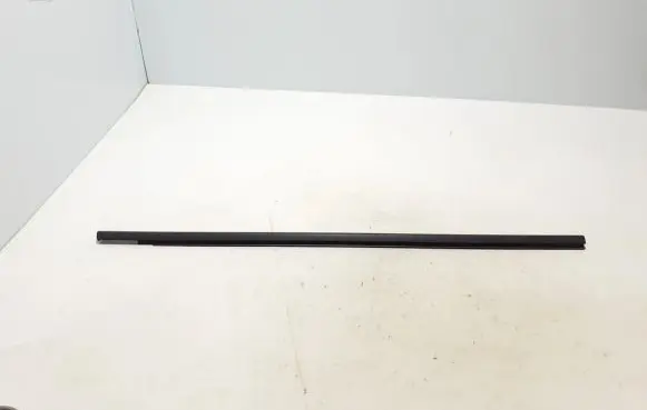 Renault Austral Front door glass trim molding 808201152R