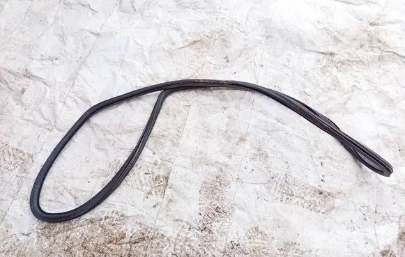 Volkswagen PASSAT B6 Rubber seal rear door 