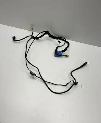 Front door wiring loom