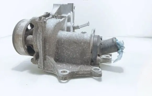Nissan Juke I F15 Water pump