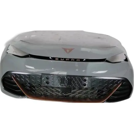 Cupra Born Front bumper 10E807221D