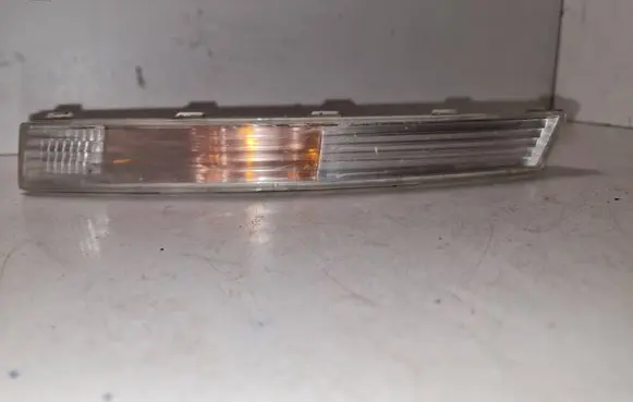 Volkswagen PASSAT B6 Front indicator light 3C0953041E