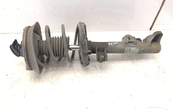 Front shock absorber with coil spring