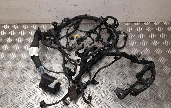 Fiat 600 Other wiring loom 9851316680