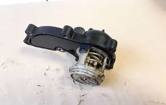 Thermostat/thermostat housing