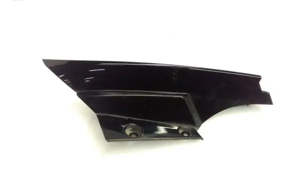 Rear/tail light trim molding