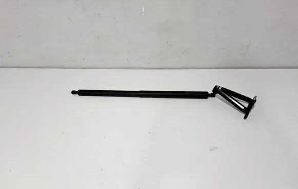Chevrolet Corvette C8 Tailgate/trunk strut/damper 84698729 545275919 23429030