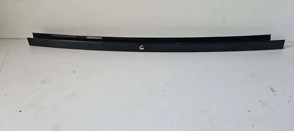 BMW X3 G01 Rear door glass trim molding 7410047 19765810