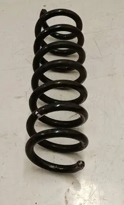 Rear coil spring