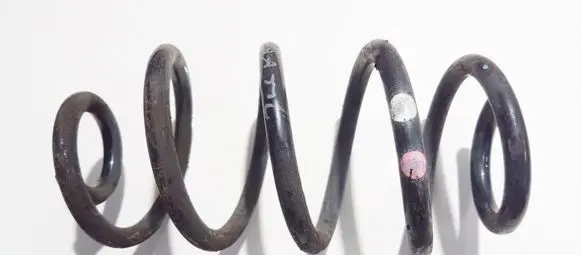 Nissan Juke I F15 Rear coil spring
