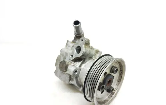 Volkswagen Transporter - Caravelle T5 Power steering pump PU109887 220302 201900