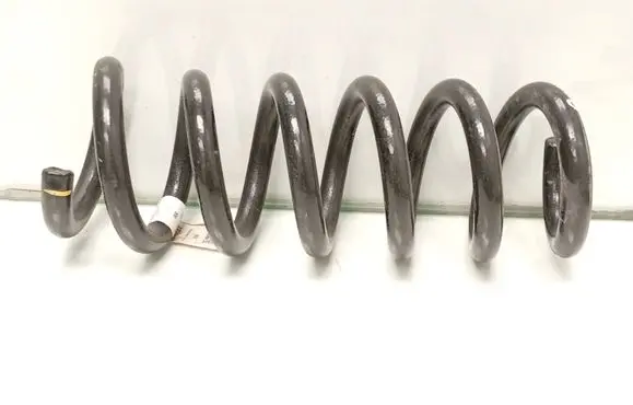 Rear coil spring
