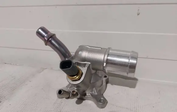 Thermostat/thermostat housing