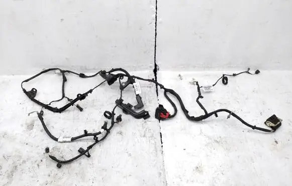 Ford Focus Other wiring loom NX6T14305GEAE NX6T14B060GEAE NX6T19A095UAAD