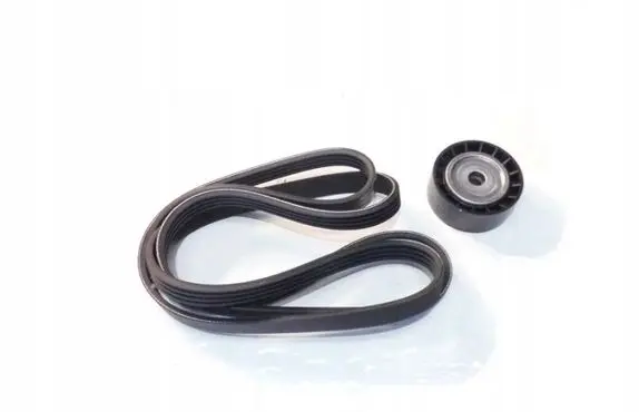 Dacia Sandero Front door rubber seal 8200830192