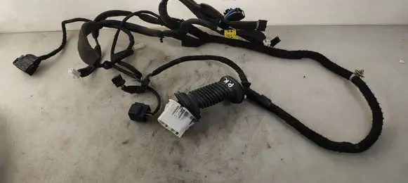 Front door wiring loom