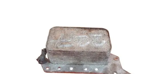 Nissan Qashqai Engine oil radiator 70375890 R9M405