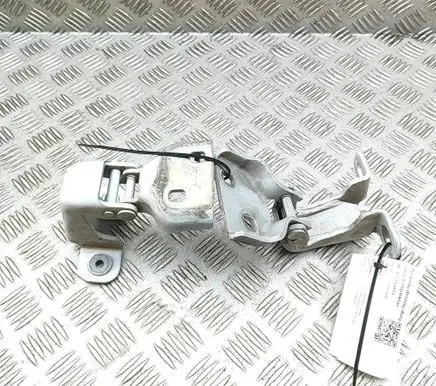 Opel Vivaro Front door hinges set 804005400R 93450652