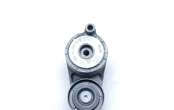 Mercedes-Benz E A207 Alternator belt tensioner A6422001970
