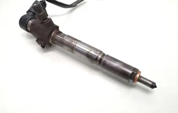 Nissan Qashqai Fuel injector 166009445R H8200294788