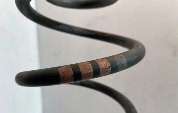 Rear coil spring