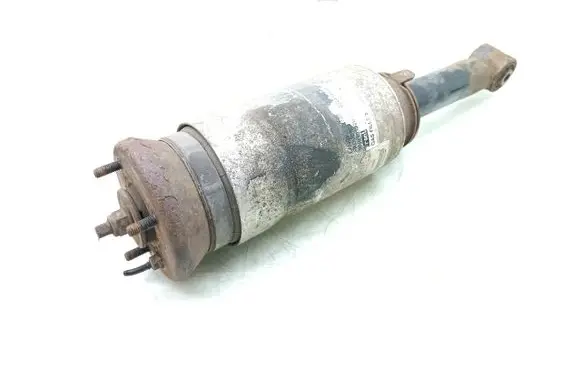Land Rover Discovery Air suspension front shock absorber RNB501620 22241483A