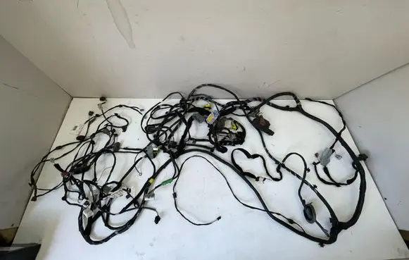 Renault Scenic IV - Grand scenic IV Wiring harness 241636149S