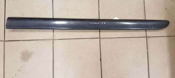 Front door trim (molding)