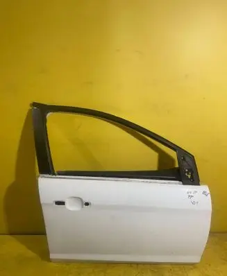Ford Focus Front door 