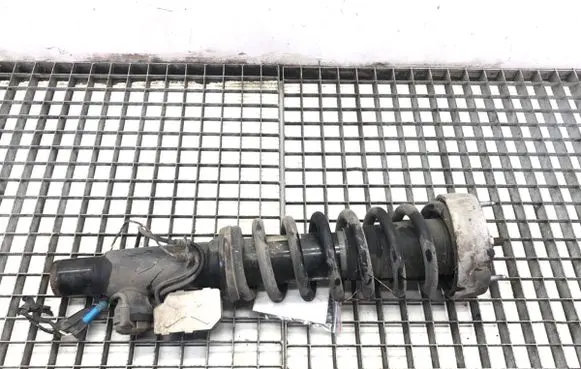 BMW X6 E71 Front shock absorber/damper 6785401