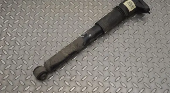 Citroen C4 II Rear shock absorber/damper 9842995480