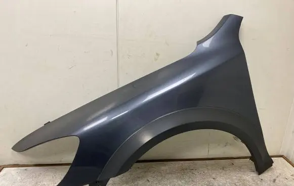 Skoda Octavia Mk2 (1Z) Fender