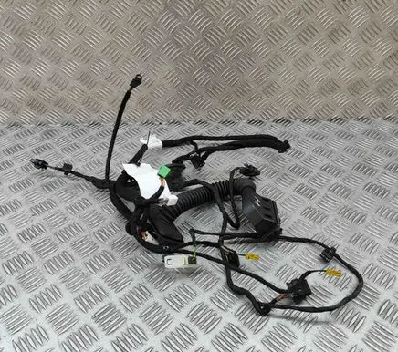 Mercedes-Benz S C217 Front door wiring loom A2225409307