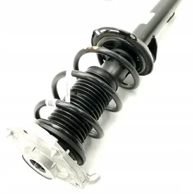 Volkswagen ID.4 Front shock absorber/damper 1EA413023BF